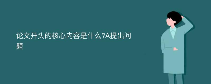 论文开头的核心内容是什么?A提出问题