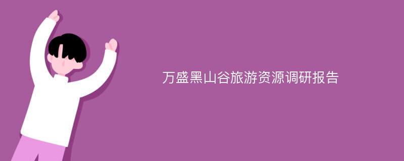 万盛黑山谷旅游资源调研报告