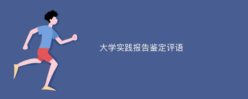 大学实践报告鉴定评语