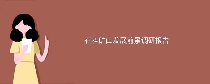 石料矿山发展前景调研报告