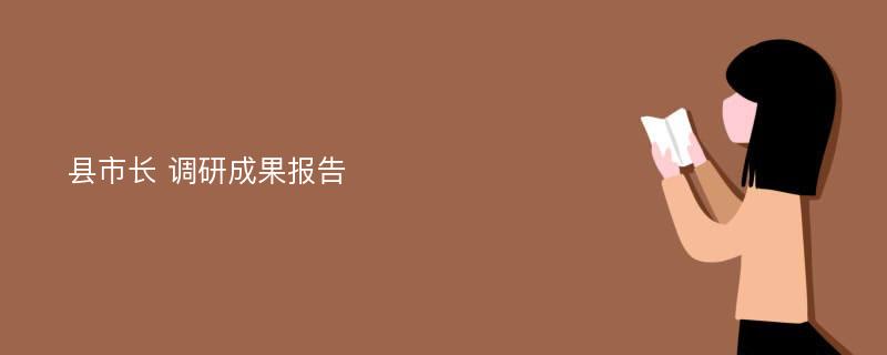 县市长 调研成果报告