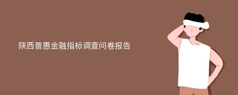 陕西普惠金融指标调查问卷报告