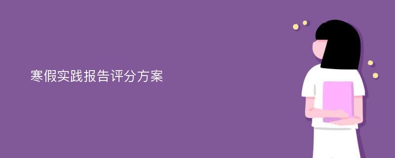 寒假实践报告评分方案