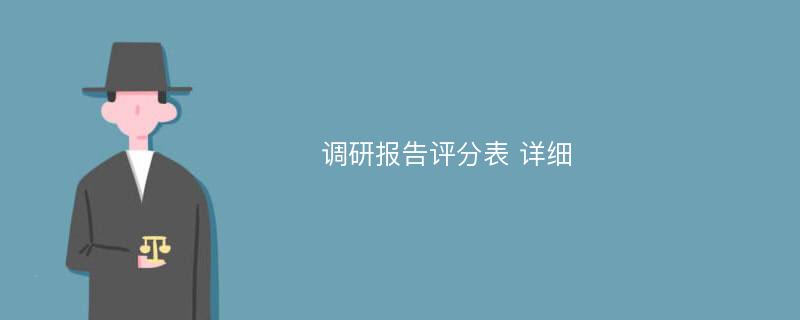 调研报告评分表 详细